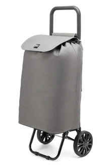 AS6 Shopper Silver
