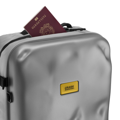 Crash Baggage Iconic 2.0 Ryggsäck 29L - Silver