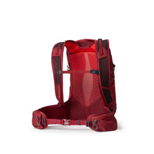 Gregory Maya 20 Plus Ryggsäck Plus Size